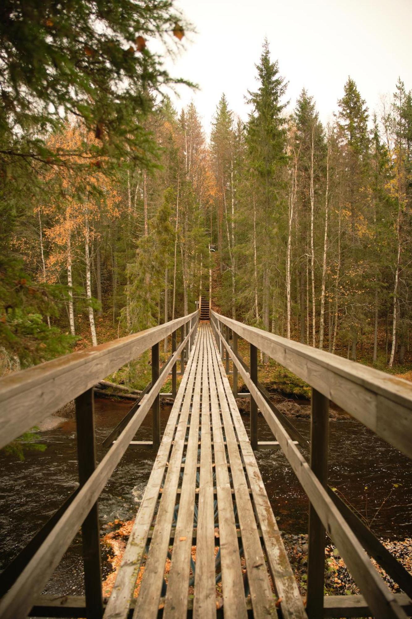 Hotel Langforsen Glamping & Lapland Experience Lapptrask Exterior foto