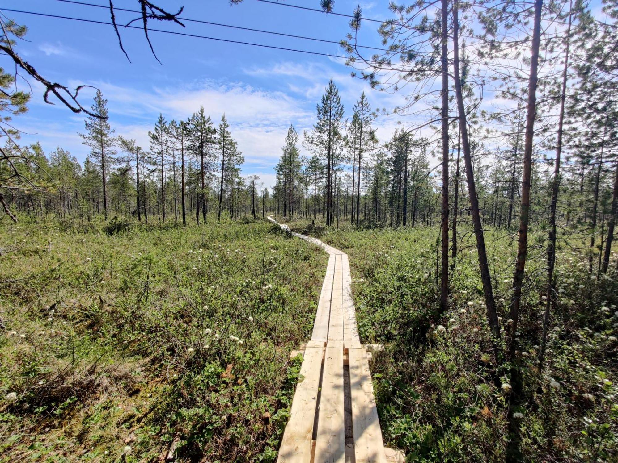 Hotel Langforsen Glamping & Lapland Experience Lapptrask Exterior foto